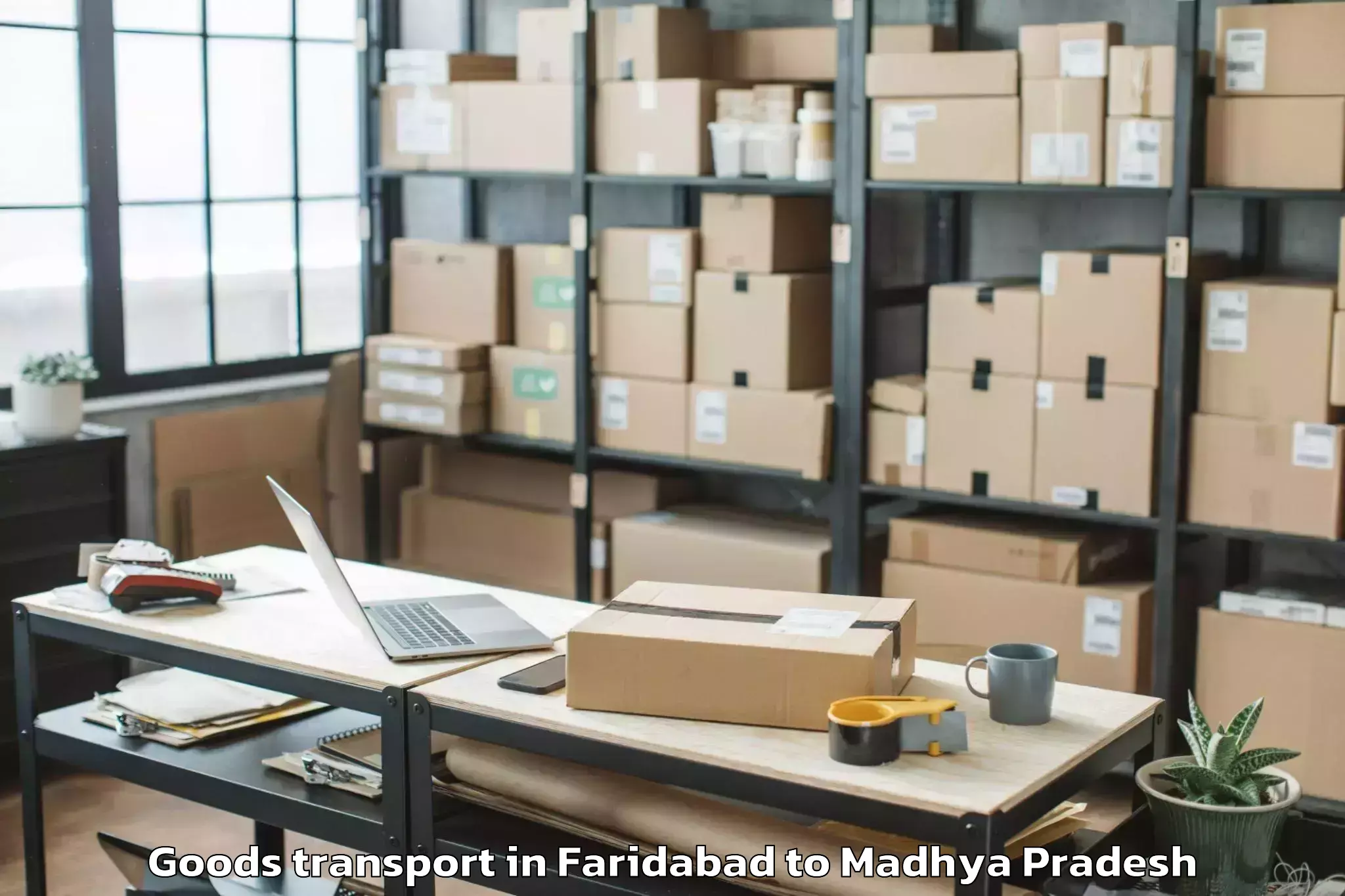 Easy Faridabad to Jabera Goods Transport Booking